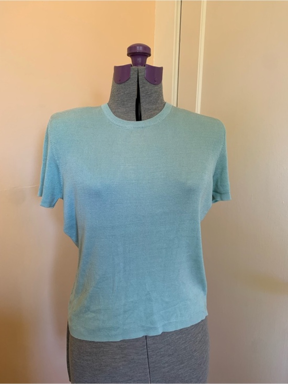 Ann Taylor Petites 100% Silk‎ Knit Short Sleeve Sweater Light Blue PM